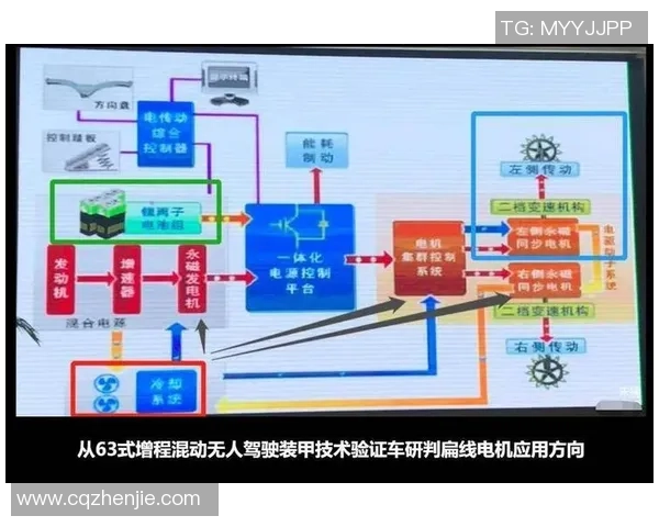 重庆羽毛球队速度对比深度解析与战术优势探讨