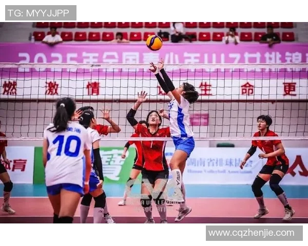 上海排球队在全国锦标赛中的拼搏历程与荣耀时刻回顾