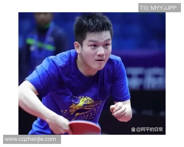 乒乓球专题：深入探讨上海乒乓球队如何实现高效团队协作与默契配合