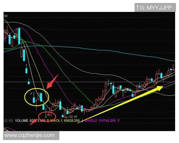 深度分析上海羽毛球队反击战术的独特魅力与实战应用 深度分析上海羽毛球队反击战术的独特魅力与实战应用