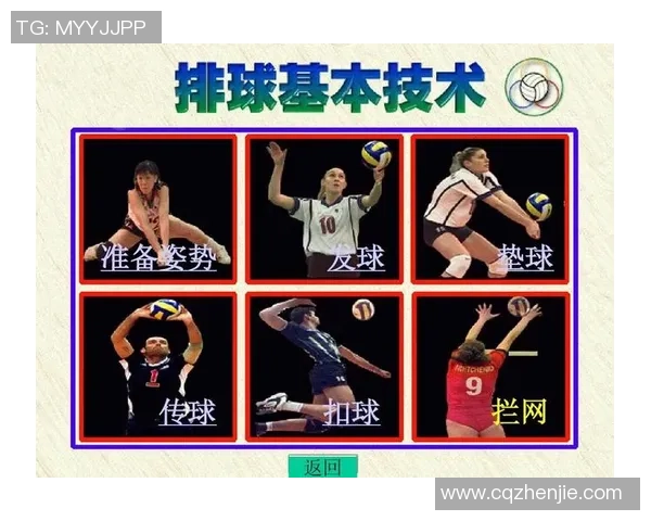 南京排球队的战术解析与控制能力深度剖析