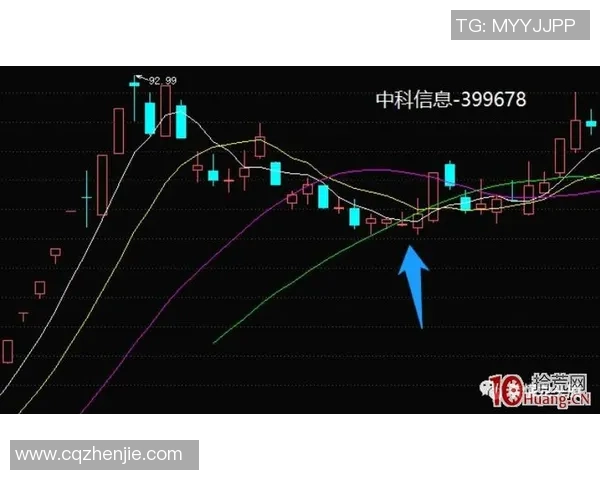 南京足球队与上海足球队赛后复盘分析：团队配合与战术执行的深度探讨