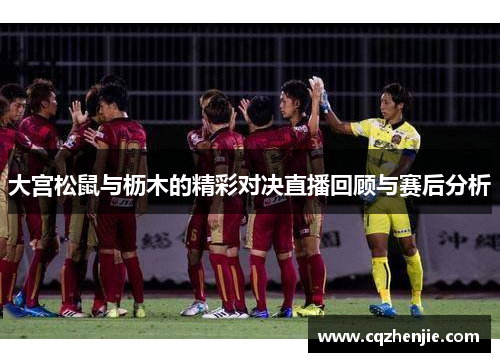 大宫松鼠与枥木的精彩对决直播回顾与赛后分析